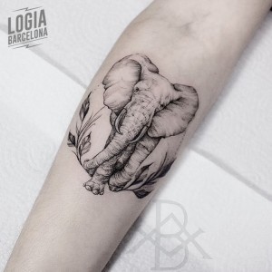 tatuaje_brazo_elefante_logia_barcelona_bruno_almeida  